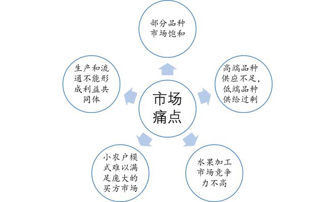 2022年中国水果行业市场发展现状及未来前景展望(图9)