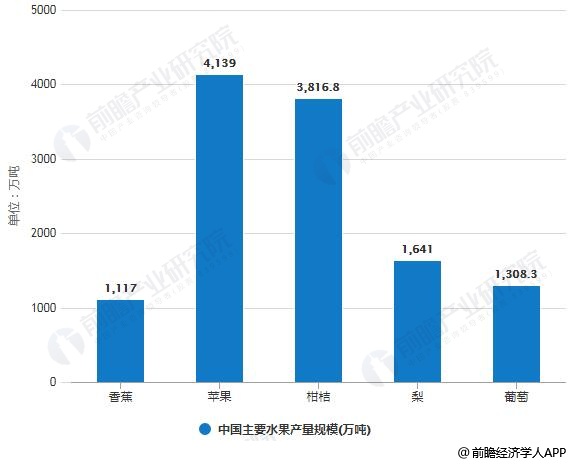 2019年中国水果行业市场现状及发展趋势分析 加快产业转型升级稳定市场价格(图2)