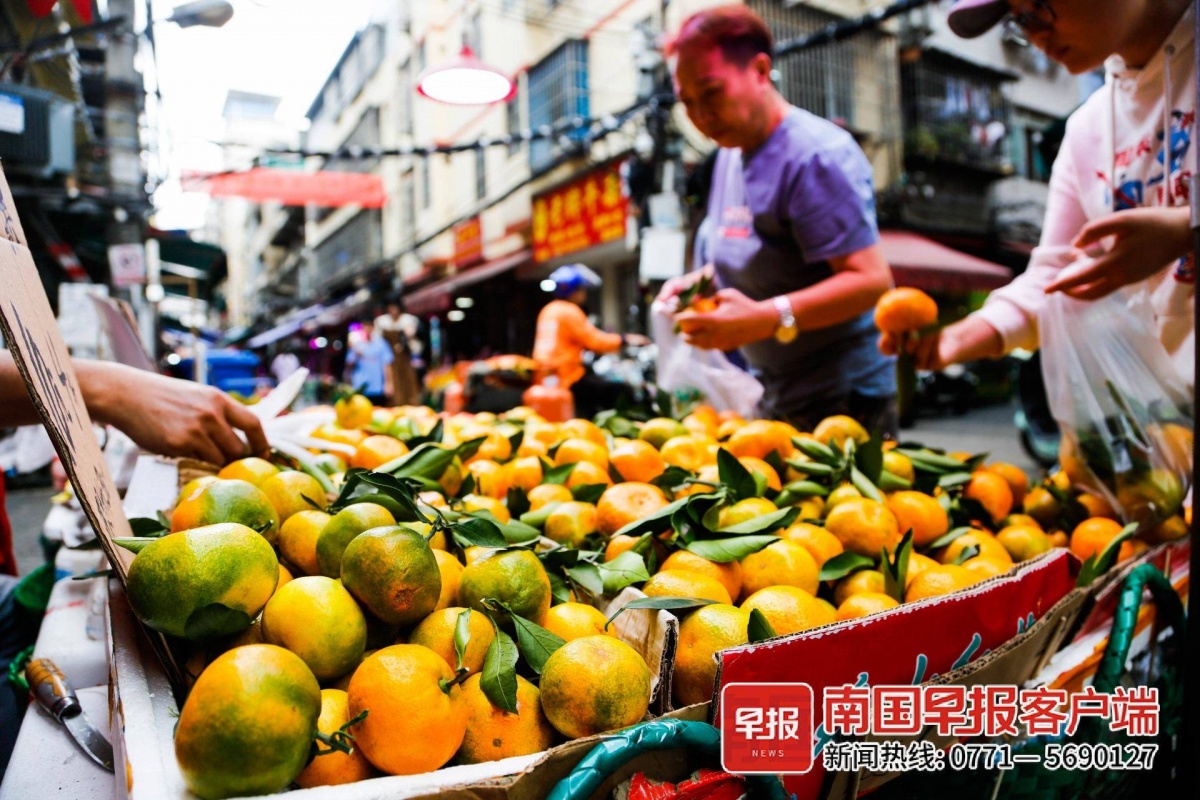 广西柑橘大量上市又一波“水果自由”来了！(图1)