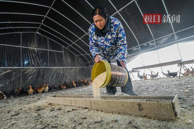 半岛彩票：天下陂商㉙丨发展生态特色水果种植“60后”女农场主荣获国家级荣誉(图2)