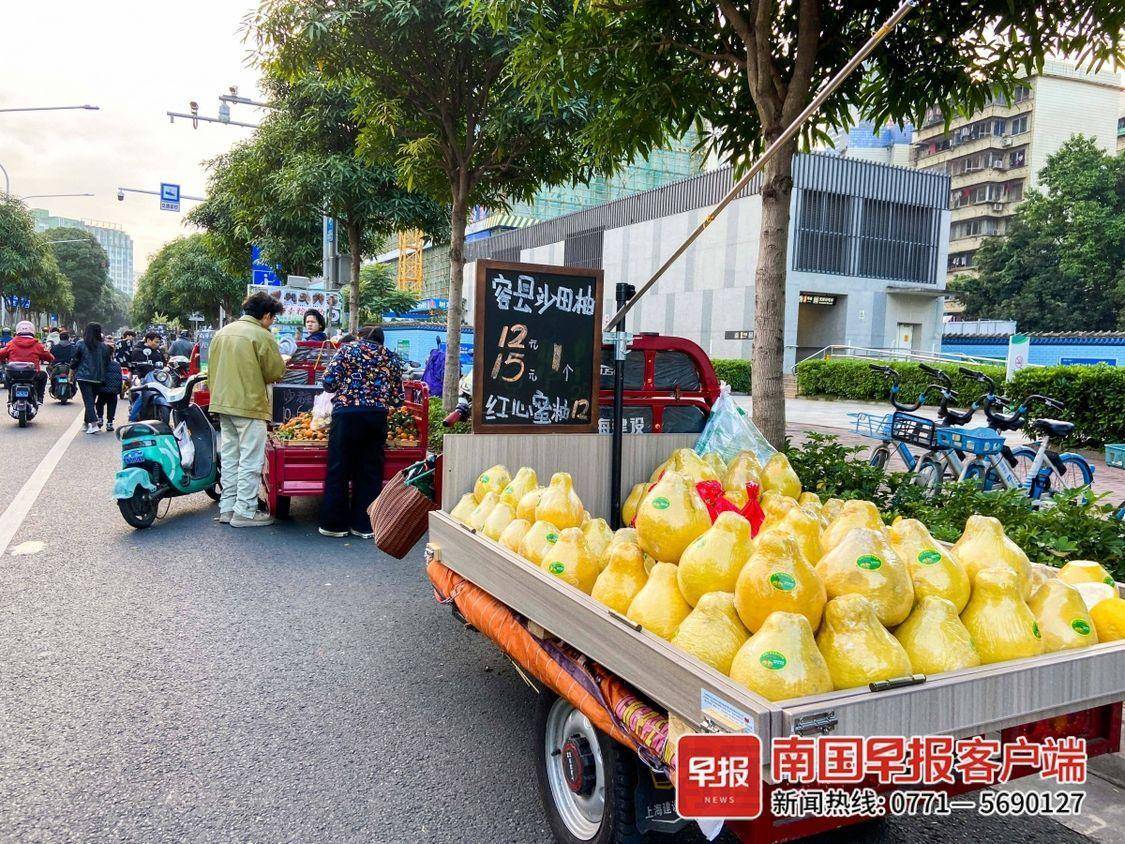 半岛彩票：砂糖橘、沙田柚、凤梨释迦……广西冬季时令水果尝不完！(图2)