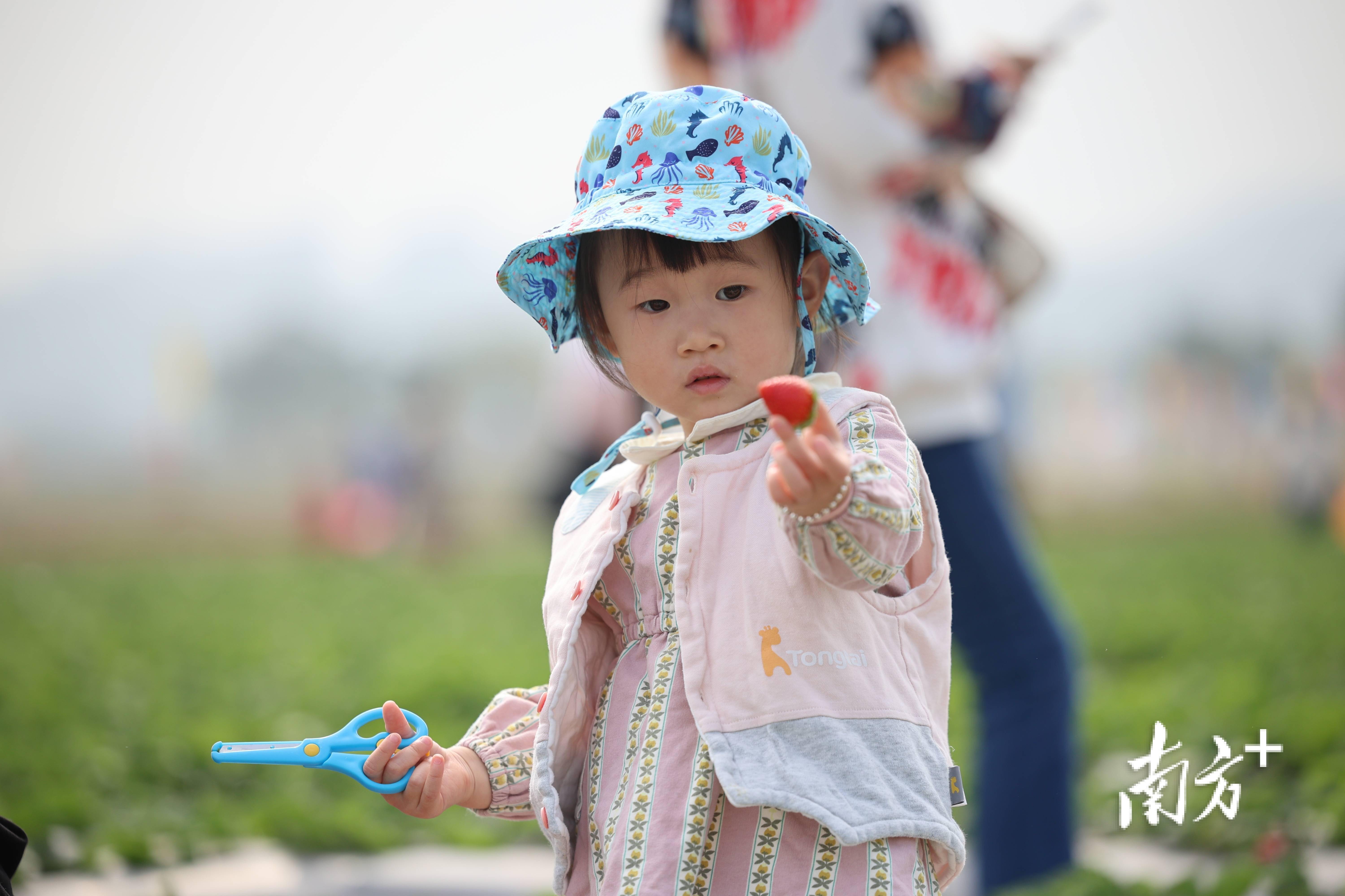 半岛彩票：太适合周末溜娃了这里的水果好吃得停不下来｜多图(图3)