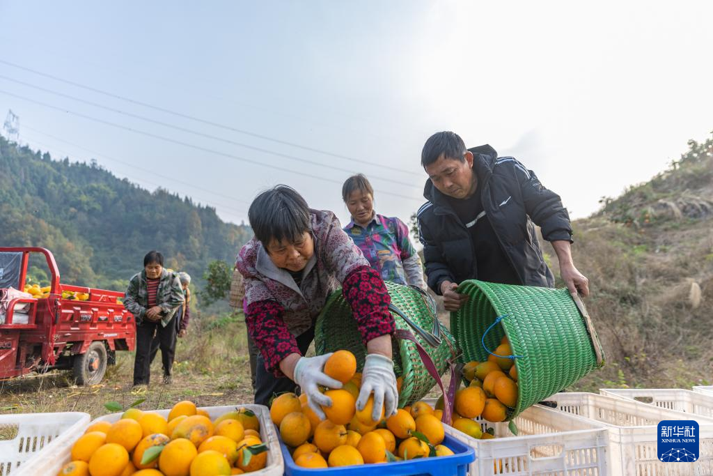 半岛彩票：水果种植技术下载_Word模板_7-爱问文库