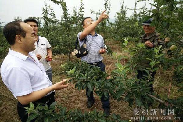 半岛彩票：果树种植的8个秘诀！不知道就亏大了！(图3)