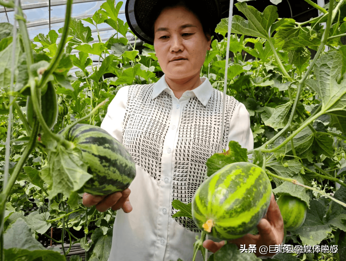 半岛彩票：菏泽：瓜果飘香绘就“甜蜜”发展新蓝图(图3)